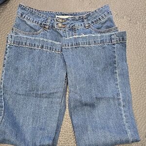 Stetson Women's City Trouser 6 Regular